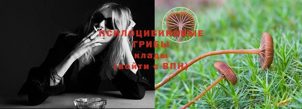 каннабис Алексеевка