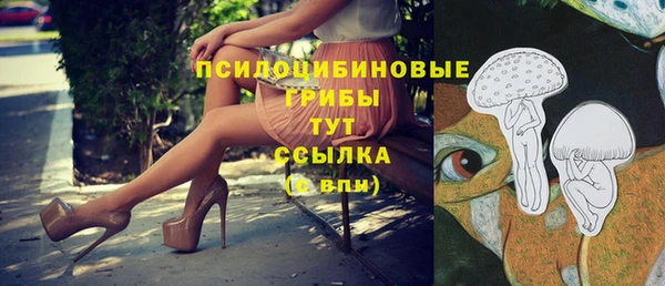ешки Алзамай