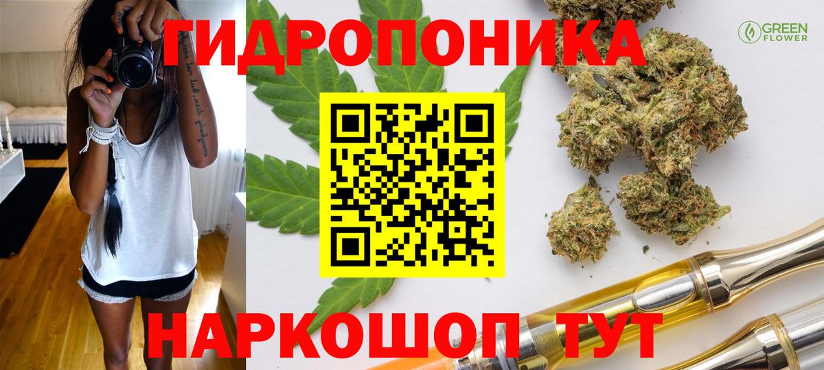 Канабис гибрид Киров